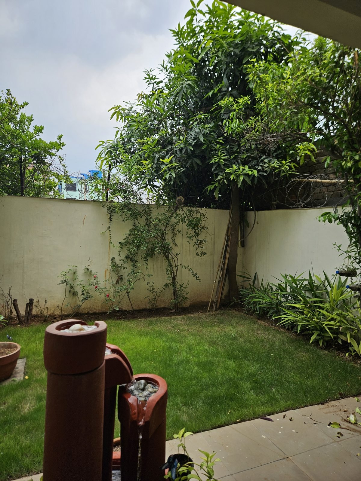 A calm, green outdoor space